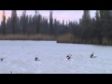 Всероссийские соревнования 24.03.2012г. К-1мужчины1000метров