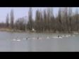 Всероссийские соревнования 25.03.2012г . К-1муж200м финал