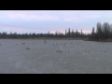 Всероссийские соревнования 24.03.2012г С-1мужчины1000м.финал