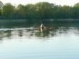 Flatwater training in Daugai 2012-05-19