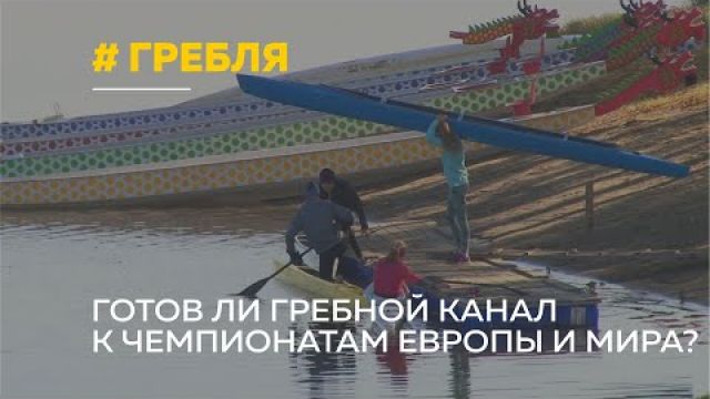 Без названия