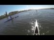 Dauphins et canoës en floride