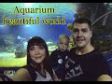 Aquarium beautiful world